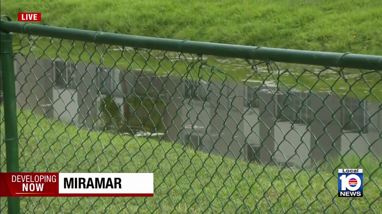 Police: Dog walker finds person dead in canal in Miramar